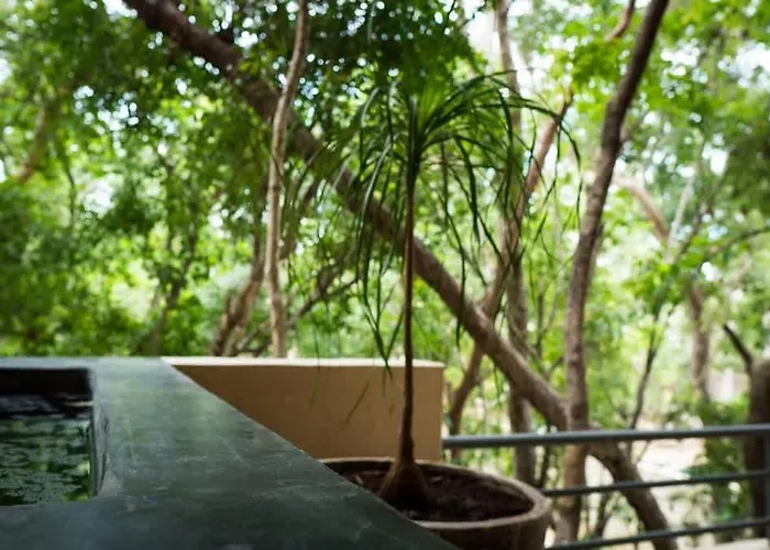 3br Jungle Escape With Luxe Plunge Pool- Holistika * Tulum